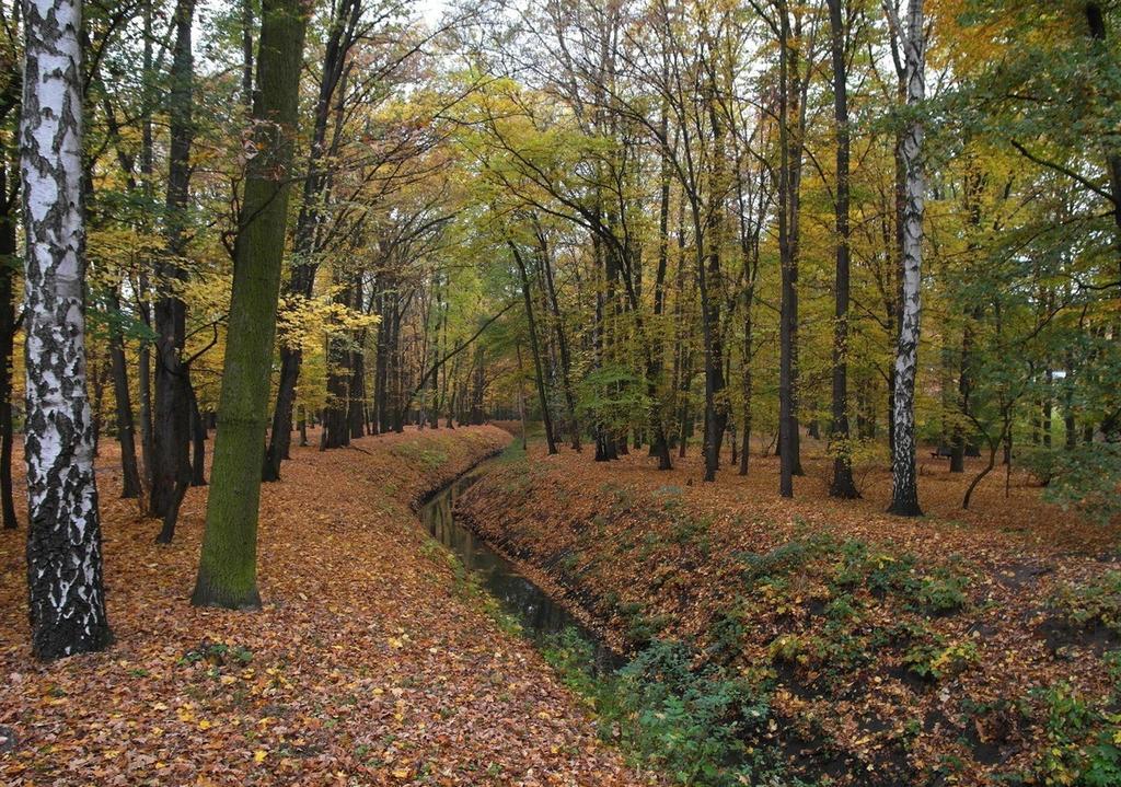 Pensjonat Rezydencja Parkowa Lägenhet Wrocław Exteriör bild